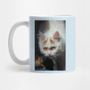 Odd-Eyed Persian Kitten Mug